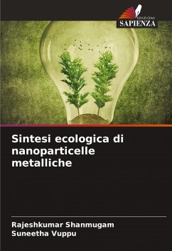 Cover Sintesi ecologica di nanoparticelle metalliche