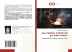 Cogénération d'électricité par effet Seebeck
