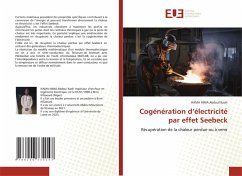 Cogénération d'électricité par effet Seebeck - Abdoul Kadri, HAMA HIMA