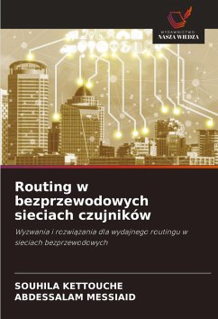Routing w bezprzewodowych sieciach czujników - KETTOUCHE, SOUHILA;MESSIAID, ABDESSALAM