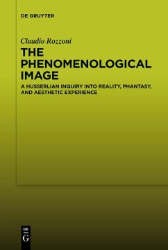 Cover The Phenomenological Image