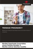 TEENAGE PREGNANCY TEENAGE PREGNANCY