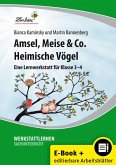 Amsel, Meise & Co: Heimische Vögel (eBook, PDF)