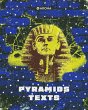 pyramids texts (eBook, ePUB) - Bild 1
