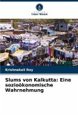 Slums von Kalkutta: Eine sozioökonomische Wahrnehmung