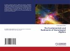 The Fundamentals and Rudiments of Homological Algebra