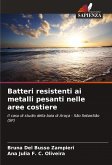 Batteri resistenti ai metalli pesanti nelle aree costiere Batteri resistenti ai metalli pesanti nelle aree costiere
