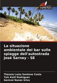 La situazione ambientale dei bar sulle spiagge dell'autostrada José Sarney - SE