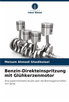 Cover Benzin-Direkteinspritzung mit Glühkerzenmotor