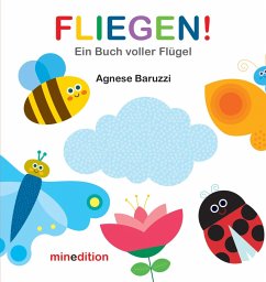 Cover FLIEGEN!