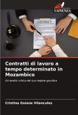 Contratti di lavoro a tempo determinato in Mozambico Contratti di lavoro a tempo determinato in Mozambico