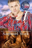 Texas Sun (Texas Soul, #7) (eBook, ePUB) Texas Sun (Texas Soul, #7) (eBook, ePUB)