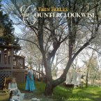 Counterclockwise (2lp) Counterclockwise (2lp)
