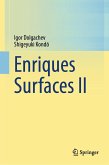 Enriques Surfaces II (eBook, PDF)