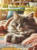 De Lo Básico A La Sofisticación (eBook, ePUB) De Lo Básico A La Sofisticación (eBook, ePUB)