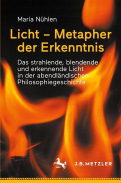 Cover Licht - Metapher der Erkenntnis