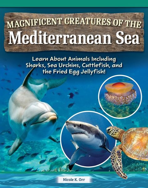 Magnificent Creatures of the Mediterranean Sea (eBook, ePUB)