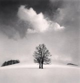 Michael Kenna: Constellation Michael Kenna: Constellation