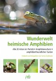 Wunderwelt heimische Amphibien (eBook, ePUB)