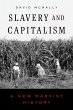 Slavery and Capitalism (eBook, ePUB) - Bild 1