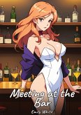 Meeting at the Bar Meeting at the Bar