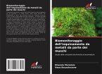 Biomonitoraggio dell'inquinamento da metalli da parte dei muschi