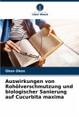 Auswirkungen von Rohölverschmutzung und biologischer Sanierung auf Cucurbita maxima Auswirkungen von Rohölverschmutzung und biologischer Sanierung auf Cucurbita maxima