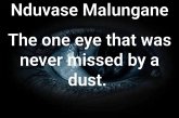 The one eye that was never missed by a dust. (eBook, ePUB)