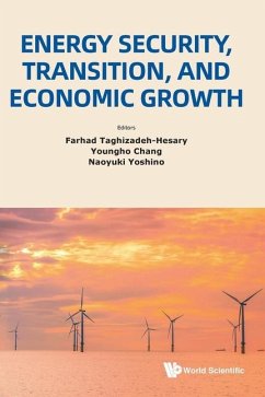 Cover Energy Security, Transition, and Economic Growth
