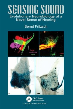 Cover Sensing Sound