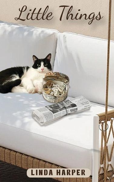 Little Things Little Things