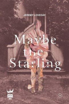 Remember the Starling Cover Remember the Starling