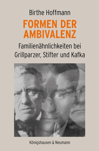 Formen der Ambivalenz (eBook, PDF)