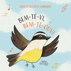 Bem-te-vi, Bem-te-ouvi (eBook, ePUB)