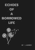 Echoes of a Borrowed Life (eBook, ePUB)