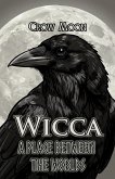 Wicca: A Place Between the Worlds (eBook, ePUB) Wicca: A Place Between the Worlds (eBook, ePUB)