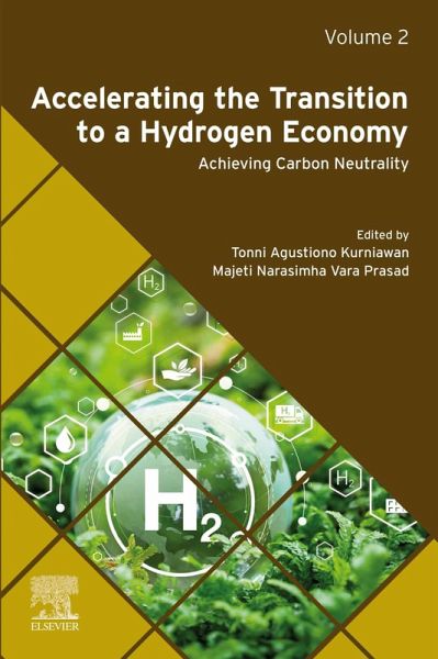 Accelerating the Transition to a Hydrogen Economy (eBook, ePUB) Accelerating the Transition to a Hydrogen Economy (eBook, ePUB)