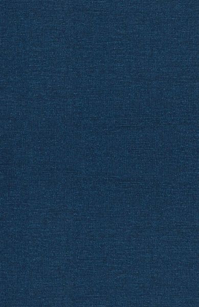 The Adventurepreneur