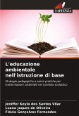 L'educazione ambientale nell'istruzione di base L'educazione ambientale nell'istruzione di base