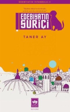 Cover Edebiyatin Surici