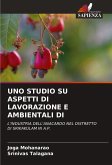 UNO STUDIO SU ASPETTI DI LAVORAZIONE E AMBIENTALI DI