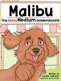 Malibu the Extra Medium Goldendoodle Malibu the Extra Medium Goldendoodle
