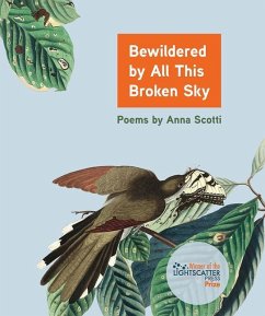 Cover Bewildered by All This Broken Sky