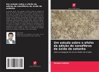 Um estudo sobre o efeito da adição de nanofibras de óxido de estanho