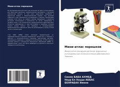 Cover Mini-atlas poroshkow