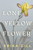 Lone Yellow Flower Lone Yellow Flower
