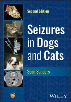 Cover Seizures in Dogs and Cats