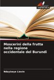 Moscerini della frutta nella regione occidentale del Burundi
