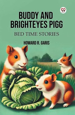 Buddy And Brighteyes Pigg Bed Time Stories - Garis, Howard R.