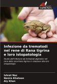 Infezione da trematodi nel rene di Rana tigrina e loro istopatologia